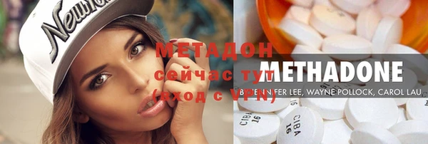 стаф Щигры